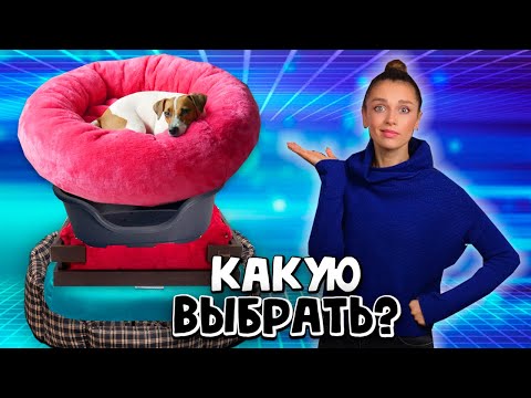 All About Loungers // In Search of the Perfect Lounger