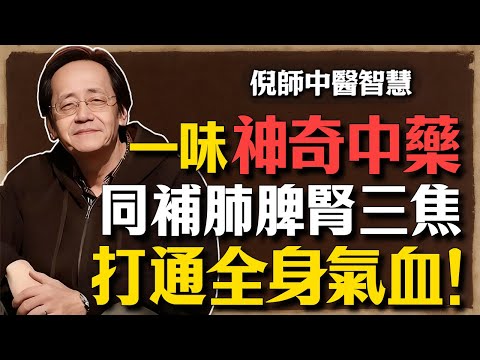 倪海廈：一味神奇中藥，上護肺、中養胃、下強腎，打通全身氣血！
