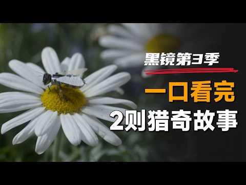 一口气看完2则猎奇故事《黑镜》第3季:人类研发出机械蜜蜂,可它却要了人的命