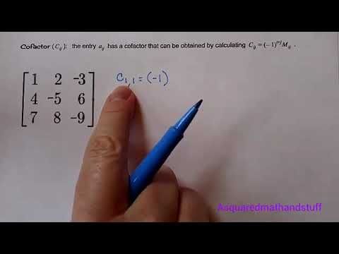 Minors and Cofactors of a Matrix