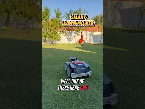 Check out Sunseeker’s Prime Fall Sale! The biggest sale of the year! #lawn #lawncare #robotmower