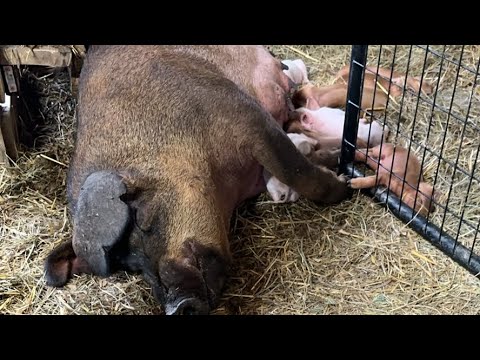 This About To Get Dangerous-She’s The Mean One