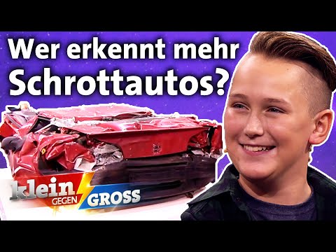 Bergdoktor Hans Sigl vs. Neal: Wer erkennt mehr Autos nur an den Schrottwürfeln? | Klein gegen Groß