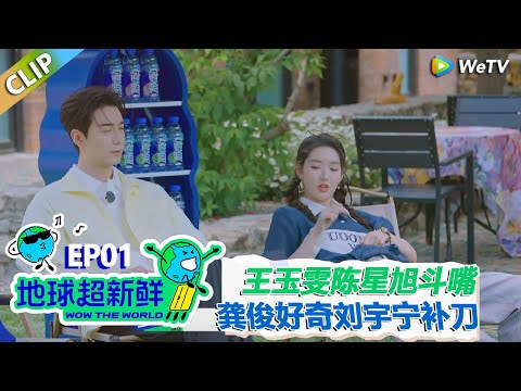 【地球超新鲜CLIP】：王玉雯陈星旭青梅竹马吵架！王玉雯：他有一些霸总的癖好！#刘宇宁 #龚俊 #陈赫 #李乃文 #孙红雷