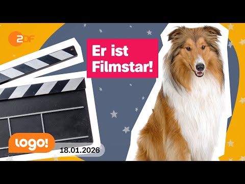 Wo lernen Filmtiere ihre Tricks? | logo!-Nachrichten vom 18.01.26