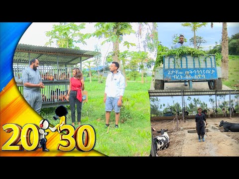 ''ለከብቶች መኖ መግበን እበታቸውንም ዛቅንላቸው''...ወጣ እንበል በሀዋሳ... በሚሊየነሩ አርብቶ አደር እስክንድ እርሻ ላይ/20-30/