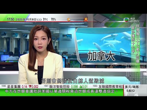 無綫TVB 六點半新聞報道｜金價升勢凌厲今年來累升逾五成 分析提醒出現「超買」短期有機會回調｜美國墨西哥邊境逮捕非法移民人數見55年新低｜加拿大30條白鯨擬出口中國遭政府阻止 或面臨人道毀滅｜TVB