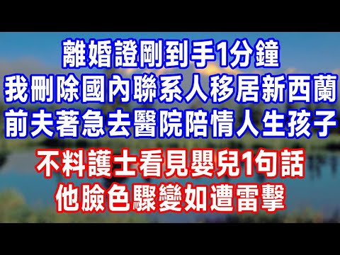 離婚證剛到手1分鐘，我刪除國內聯系人移居新西蘭，前夫著急趕去醫院陪情人生孩子，不料護士看見嬰兒1句話，他臉色驟變如遭雷擊！#人生感悟 #故事分享 #故事頻道 #生活經驗 #打脸
