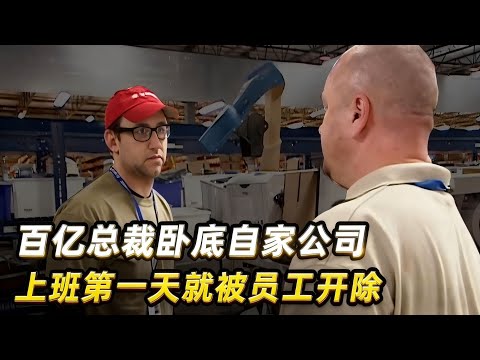 一口气看完3个卧底总裁，百亿总裁卧底自家公司，上班第一天就被开除