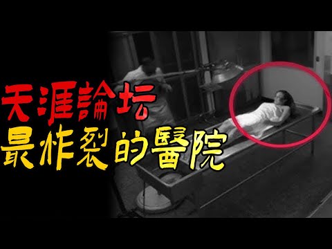 天涯论坛最炸裂的医院灵异事件|怨邪童魂复仇记|白秀霞你害死我儿子|鬼故事|恐怖故事|解压故事|灵异#都市傳說#靈異事件#佛牌#泰国#恐怖故事#亲身经历#助眠#睡前故事#西安#古墓#懸疑故事#香港鬼故