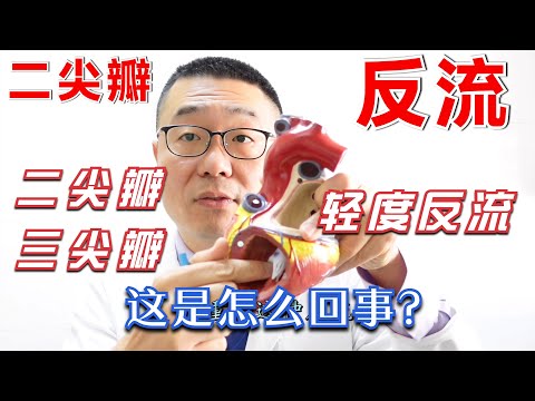 二尖瓣、三尖瓣轻度反流,这是怎么回事?严重吗?听心血管医生讲