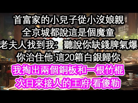 首富家的小兒子從小沒娘親全京城都說這是個魔童老夫人找到我：聽說你缺錢脾氣爆你治住他 這20箱白銀歸你我掏出兩個銅板和一根竹棍次日來接人的王府 看傻勒【花開】【愛情】【生活】