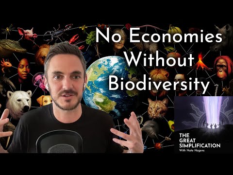Why Our Markets Rely on the Complexity of Nature with Thomas Crowther | TGS 177