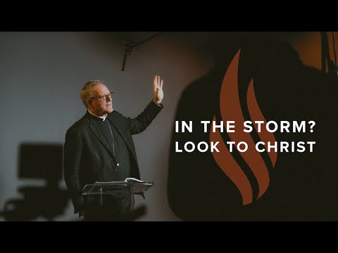 In the Storm? Look to Christ - Bishop Barron's Sunday Sermon
