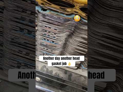 Every day is a head gasket job  #shorts #fyp #mechanic #headgasket