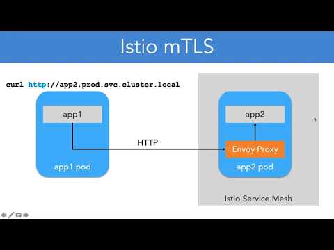11 20 Istio mTLS
