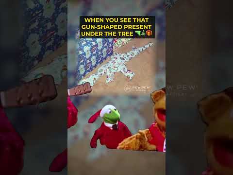 WHAT GUN IS IT?! 🔫🎄🎁