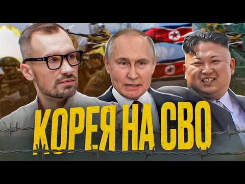 An alliance the West fears. Why is North Korea helping Russia in the Northeast Asian War?