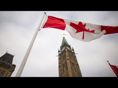 LILLEY UNLEASHED: Canada’s immigration system is a ‘dumpster fire’