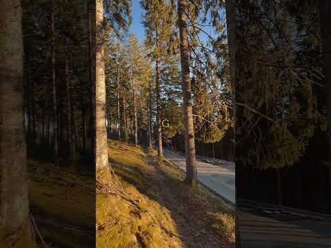 ✨magical✨ #nature #magical #relaxing