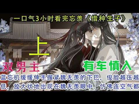 一口气3小时看完忘羡《借种生子》【上】蓝忘机缓缓伸手握紧魏无羡的下巴，俊脸越压越低，放大状地出现在魏无羡眼中。仿佛连空气都充满了缠绵因子。一个吻就要水到渠成的时候
