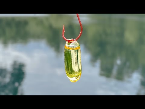 Will Fish Eat Fish Oil Pills?