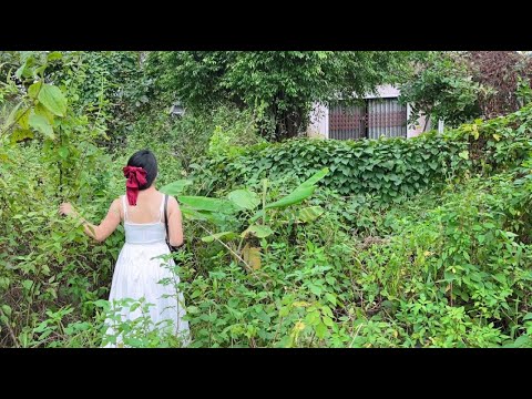 Returning Home AFTER YEARS ABROAD PhD Girl's SHOCKING Reaction!