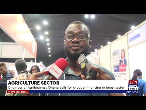 Chamber of Agribusiness Ghana calls for cheaper financing to boost sector | PrimeBusiness(30-10-25)