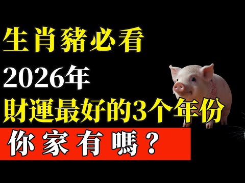 生肖豬：2026年，財運最好的3个年份属豬人，有你吗？【般若之音】#生肖 #運勢 #風水 #財運#命理