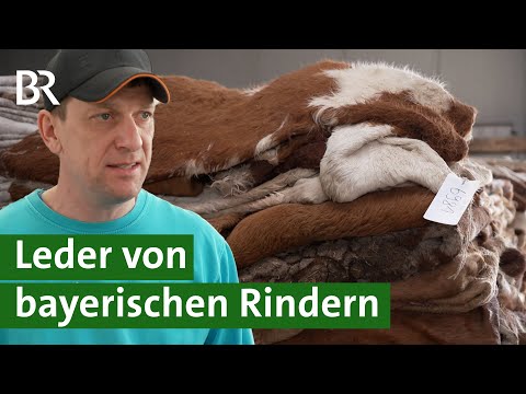 Beim Schlachten nichts verschwenden: Leder von bayerischen Rindern | Autositze | Unser Land | BR