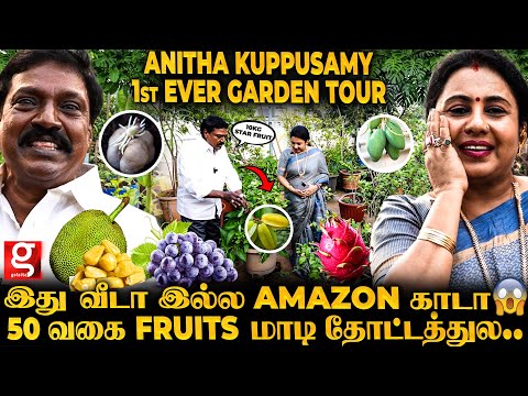 ANITHA KUPPUSAMY GARDEN TOUR 🏡 இது மாடி இல்ல பழத்தோட்டம் 😍 வீட்ல Easy-ஆ  Fruits வளர்ப்பது எப்படி ?