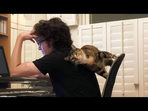 I Have A Best Friend Called Cat π€£ Cat and Human Moments