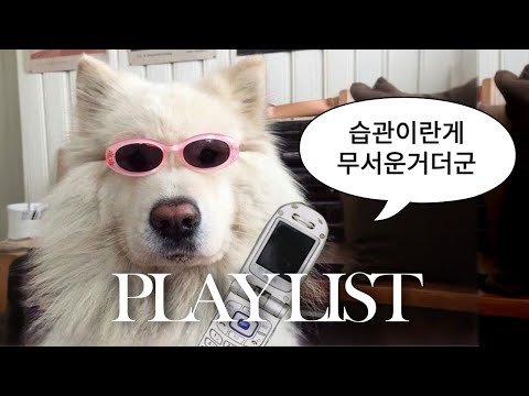 [playlist] 습관이란게 무서운거더군🎶 롤러코스터 러브홀릭 클래지콰이 노래모음 #playlist