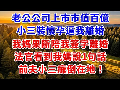 老公公司上市市值百億,小三裝懷孕逼我離婚,我媽果斷陪我簽字離婚,法官看到我媽說一句話,前夫小三癱倒在地!#思妤說故事#為人處世#生活經驗#情感故事#晚年哲理#說故事#完結文#原創故事