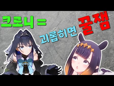 대충 풀어놓으면 그냥 무한도전 찍고 있음 ㅋㅋㅋㅋ