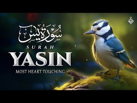 Surah Yasin (Yaseen) سورة يس | A Spiritual Whisper to Clear the Mind | Al-Taqwa TV