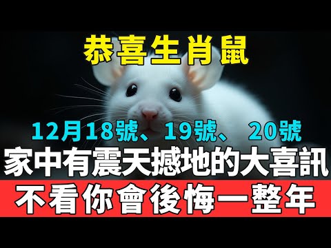 恭喜生肖鼠！12月18～20號天降巨變！家中將出現“震天撼地”的大喜訊！屬鼠人務必接住這波橫財，不點開你會後悔一整年！#富貴臨門#生肖 #運勢 #風水 #財運  #生肖運勢 #生肖運程 #運勢