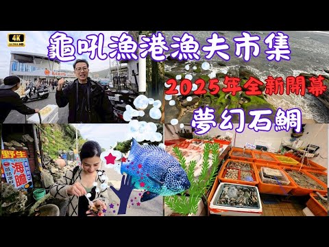 龜吼漁港2025年新漁夫市集開幕,租金漲三倍,魚貨價格呢?海膽、鮑魚、鮮魚、野生鳳螺,二樓熱炒超舒服,漁港人情味,阿標漁產讓你感受到