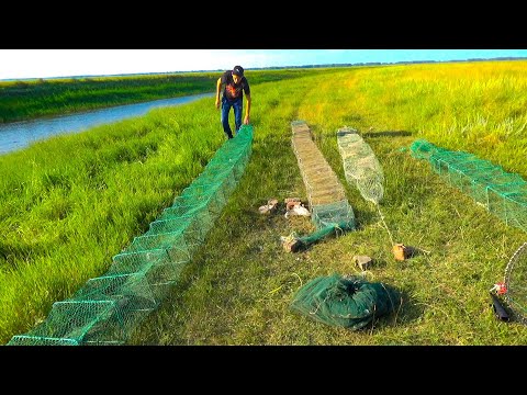 ПОСТАВИЛИ ОГРОМНЫЕ РАКОЛОВКИ НА 48 ЧАСОВ И... Ловля раков, раки на раколовки. Как ловить рака.