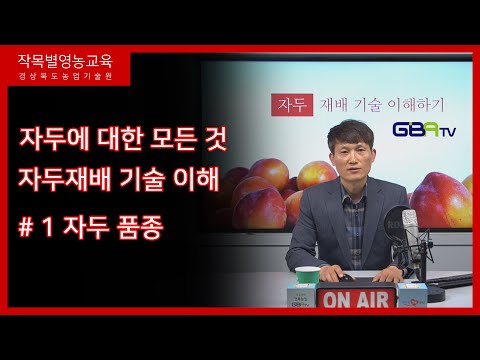 자두 재배기술 1편 - 자두품종