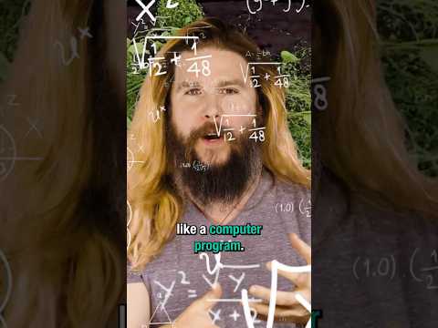 We just uploaded an entire brain...