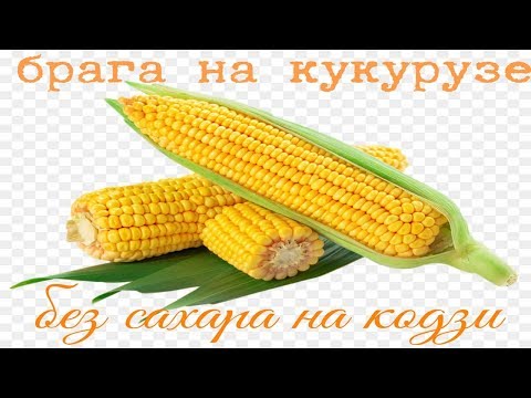 Кукурузная брага БЕЗ САХАРА! на кодзи ANGEL!