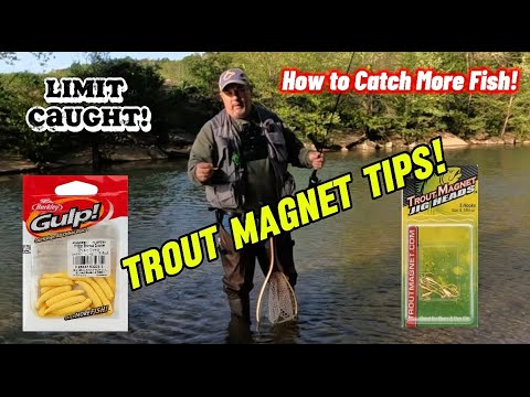 Deadly Trout Magnet Tips Every Angler Should know!