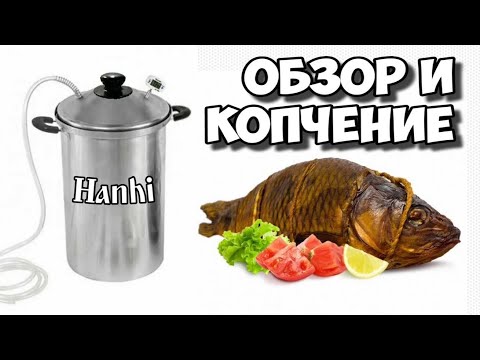 Вкуснейший карп дома в коптильне Hanhi 20л . Обзор коптильни . Дегустация с Зоей + Рецепт