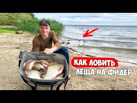 БОЛЬШАЯ РЫБАЛКА на ФИДЕР/ ЛОВЛЯ ЛЕЩА на ВОДОХРАНИЛИЩЕ