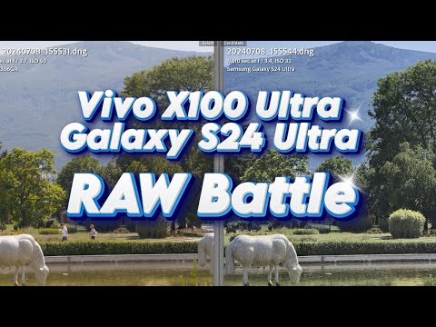 Vivo X100 Ultra Super RAW vs Samsung Galaxy S24 Ultra Expert RAW - The RAW Battle!