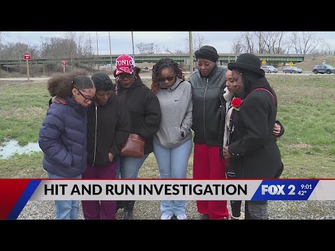 Belleville family seeks answers in hit-and-run death investigation