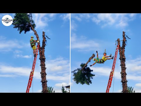 Idiots With Chainsaws: Tree Cutting Fails | Extreme Dangerous Logging Truck Fails