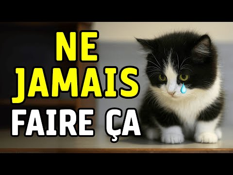 10 choses qu'un chat ne pardonnera JAMAIS la numéro 4 va vous surprendre