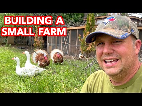 Building a Farm with Sweat Equity & a Bit of Fun
